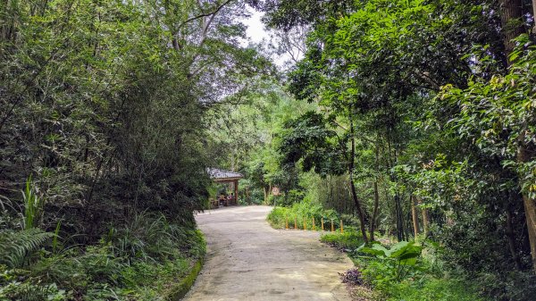 寶山,寶二水庫,軟橋彩繪村2523274