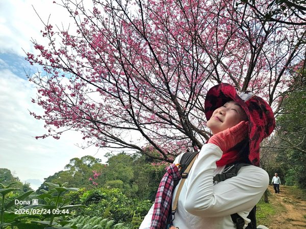 圓通寺烘爐地登山步道大O走3006990