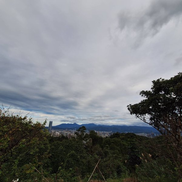 【貓貓自創路線】四獸山+南港山+九五峰+永春坡公園完成!2705810