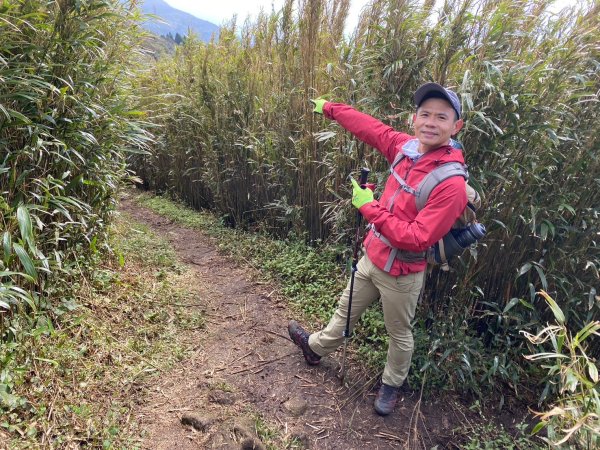 小觀音山群峰【當登山遇到惰性來襲時…】2686379