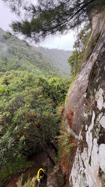 迎新（2026元旦2975616