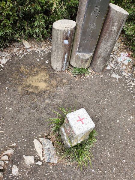 北一段(13/14)審馬陣山 2025_0906~132887554