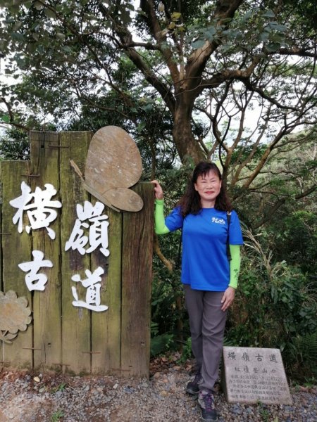 滿眼翠綠的半嶺步道、橫嶺古道、紗帽山步道883268