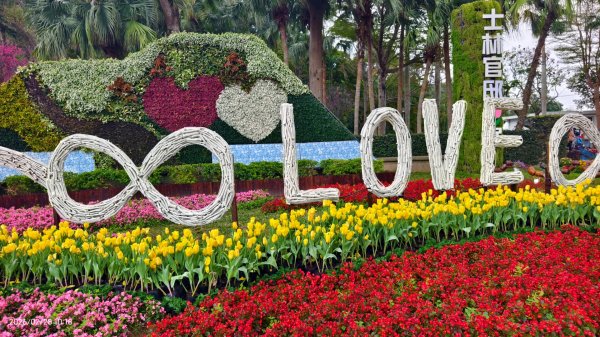 #士林官邸 #鬱金香 #中正紀念堂 #大漁櫻 2/283007872