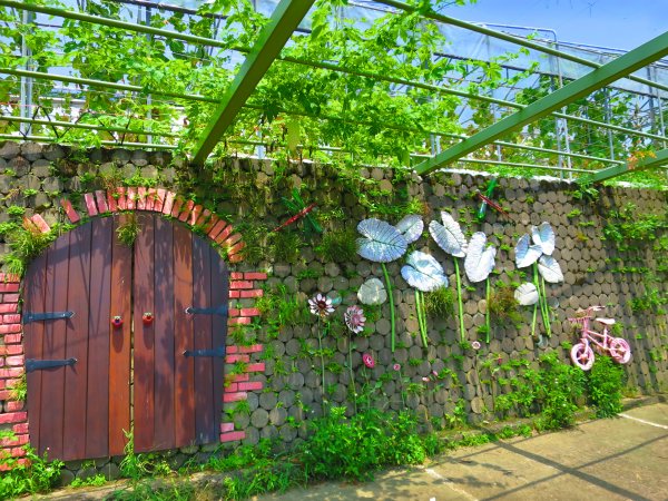 搭著捷運去旅行-白石湖賞花輕旅行610453