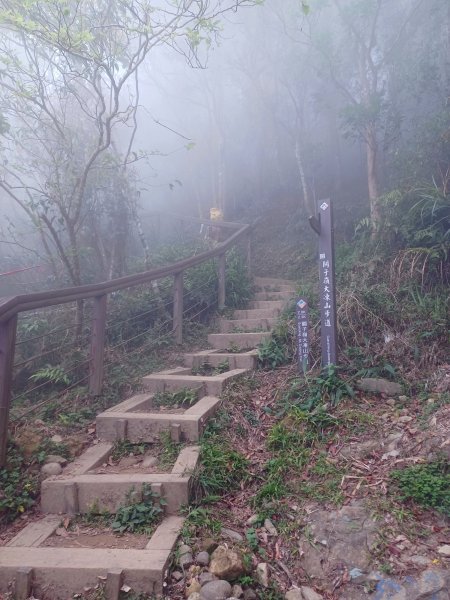 【台南白河】雞籠山+九龍山+大凍山O繞縱走2797164