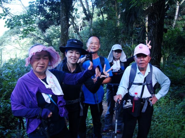 南鳳凰山下溪頭園區