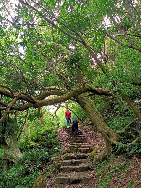 陽明醫院舊址、陽明山前山公園、紗帽山步道、紗帽路、臺北市教師研習中心【走遍陽明山】2121946