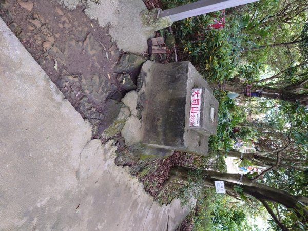 微笑山線之大棟山系2838148