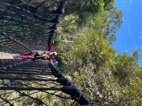 桃園-高遶溪天空吊橋-高遶溪瀑布-高遶溪古圳步道2941991