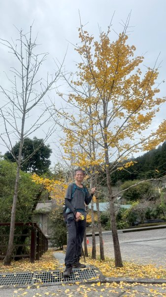 20251220嘉義凸龜山-芙蓉山-天福山2973872