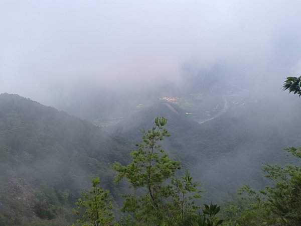 20230902台中和平隘勇求安線白毛山東北峰、白毛山、白毛山西南峰、臭頭山、白毛山北峰、沙蓮山西南2269963