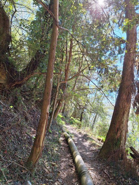 石山引水道202512112959543