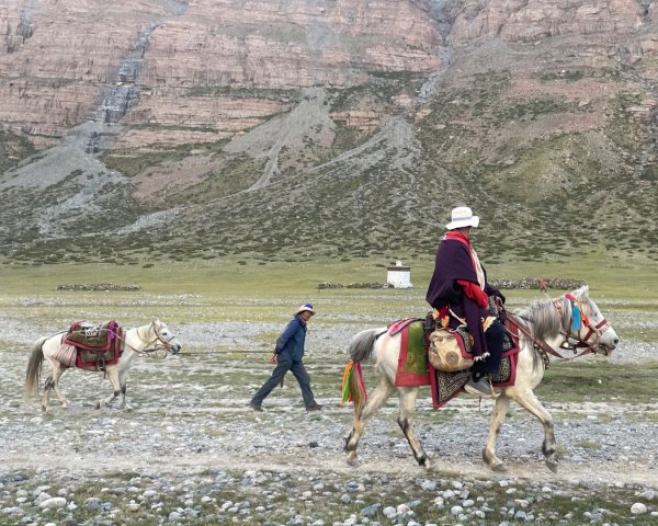 西藏♥️可愛動物🐎人物寫真/拉薩旅拍/美食2903015