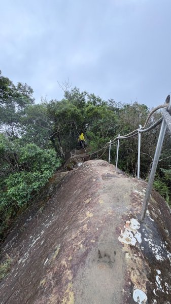 迎新（2026元旦2975575