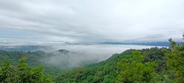 大坑頭嵙山出大景（山嵐海）2144655