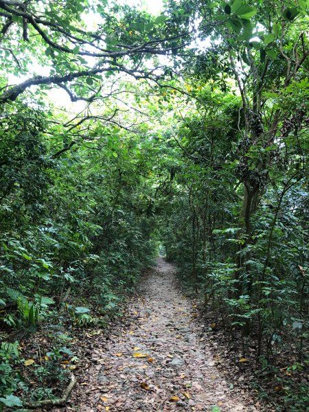 2020.10.01南壽山1119727