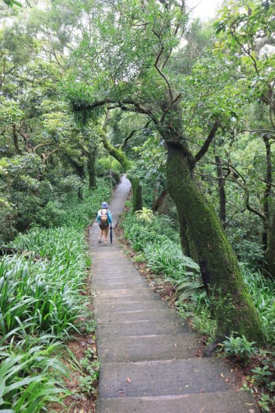 迎日石-外南勢角山-一線天-南勢角山-外挖子山2804496