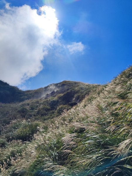 20261012 苗圃上七星公園上東主峰下小油坑上菜公坑下大屯自然公園二子坪