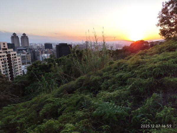 【臺北大縱走 5】碧山巖→忠勇山越嶺步道→金龍產業道路→圓明寺步道→鄭成功廟→潛園→格物台→劍潭古寺2959041