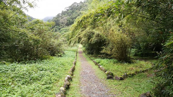 1071110福山植物園、望龍埤環湖步道458483