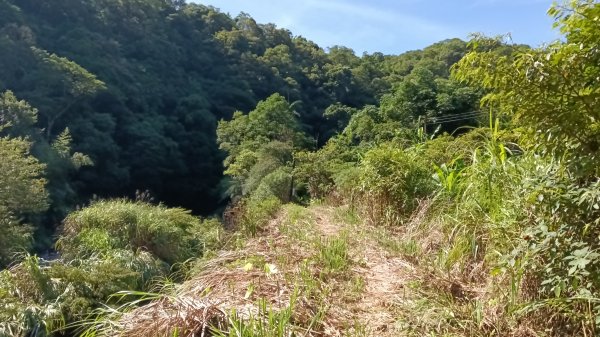 雙溪區灣潭南勢坑古道大河戀3084780