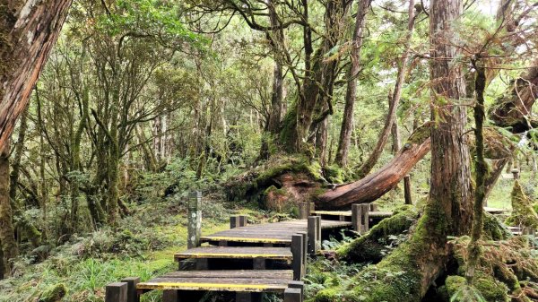 太平山森林遊樂區，檜木原始林步道，九寮溪自然步道，戈霸瀑布，開眼崙登山步道1859658