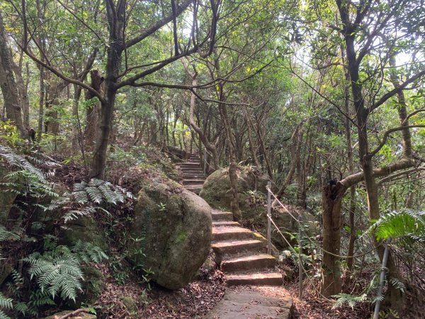 大崙頭尾山親山步道2767191