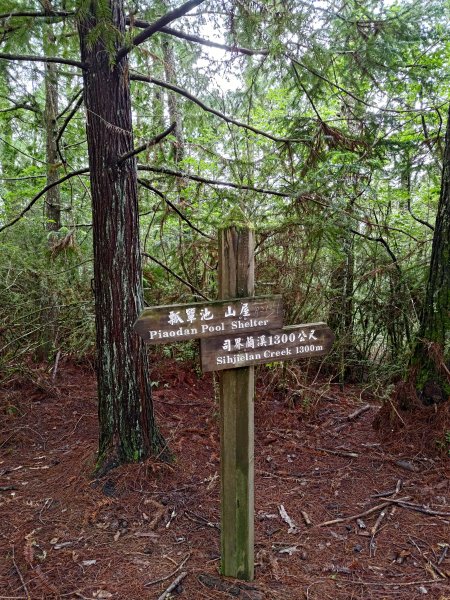 志佳陽大山登山步道2520075