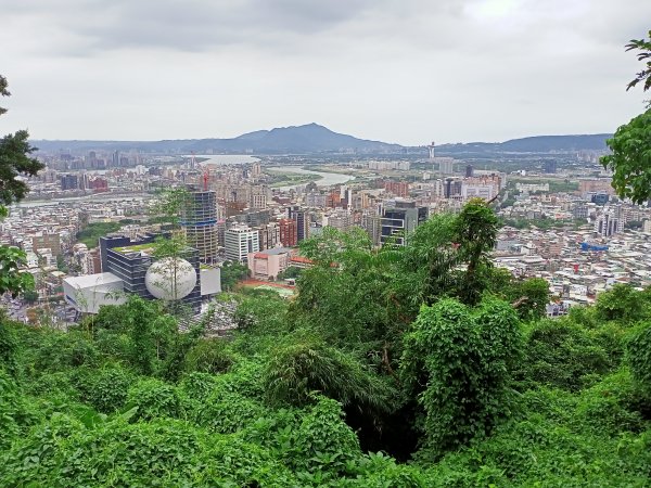 【臺北大縱走 5】劍潭山→圓明寺步道口+圓山水神社&婆婆橋步道1559533