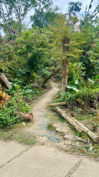 尚書林山步道(鳳凰山)2730910