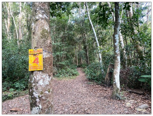 虎山、水雲三星之首 ( 苗栗、泰安 )2977387