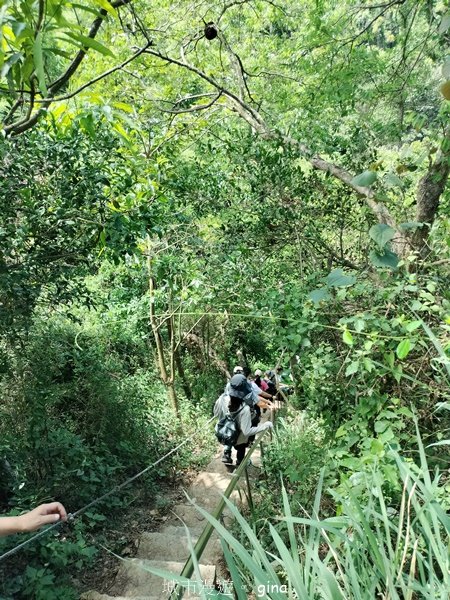 【高雄大社/岡山】郊山連峰稍有挑戰。 大社觀音山步道(立山x高崎山x長野山)2559937