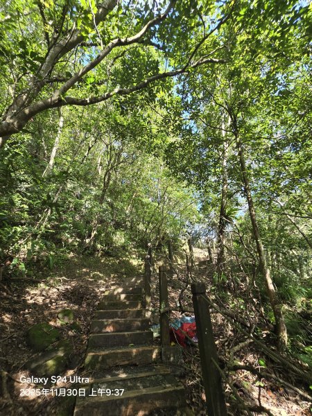 2025-11-30微笑山線：【五分山系】望古瀑布段2950240