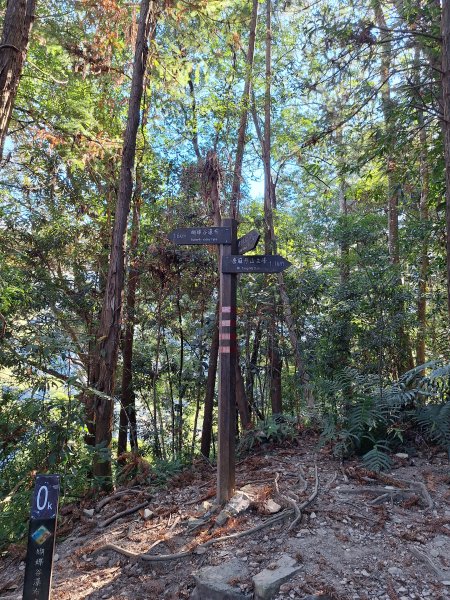 谷關蝴蝶谷瀑布202511202940796