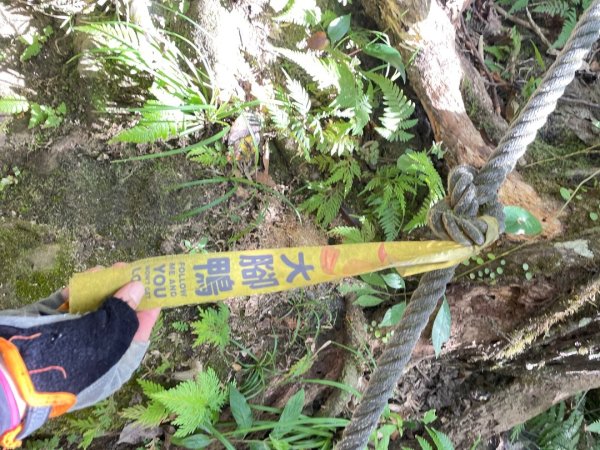 微笑山⛰️線-大棟-二格山-五分山-天上山-鳶山💎12條步道完成💙2841443