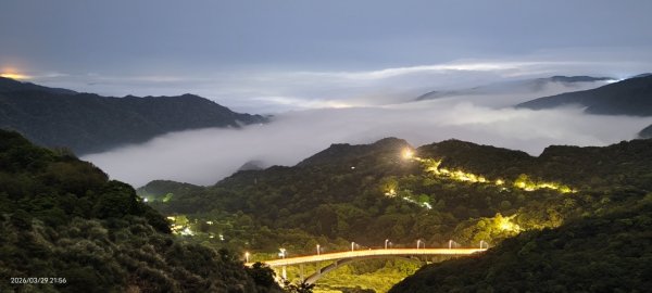 雲山水花鳥蝶-天龍國阿伯的日常 3/29-303026175