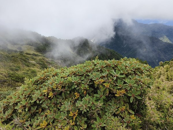 北一段(06/14)巴巴山 2025_0906~132886714