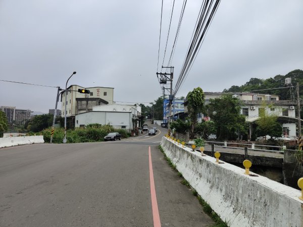 2024.04.14 倒別牛登中坑山飛鳳山O型2922809