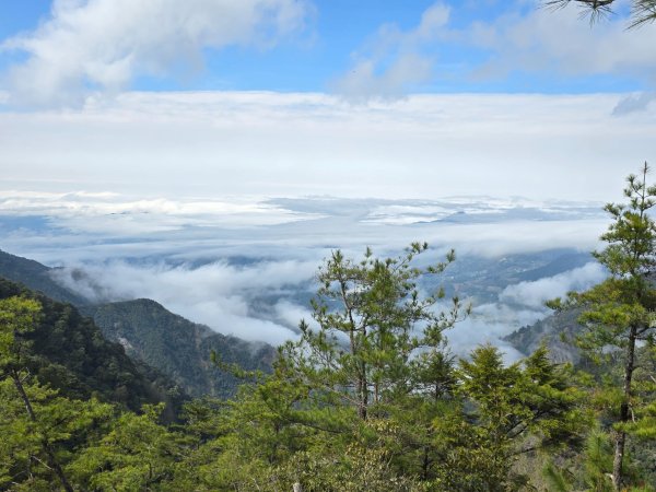 鳶嘴山+稍來神木2709897