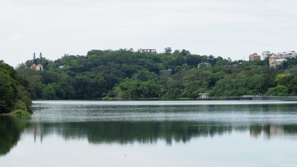 《新竹》碧湖山色｜寶山水庫環湖步道202307172222995