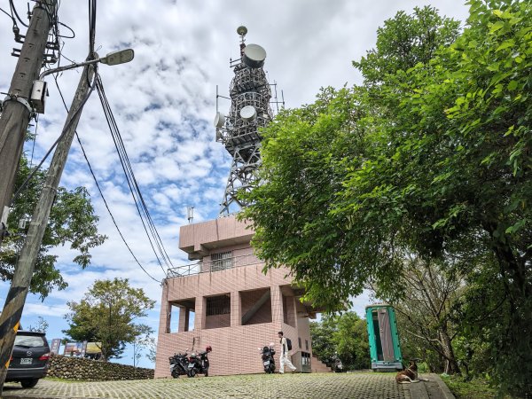 [微笑山線_第一段] 2026_0725 大棟山系_大同山3101733