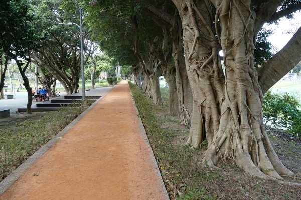 雙溪河濱公園1166105