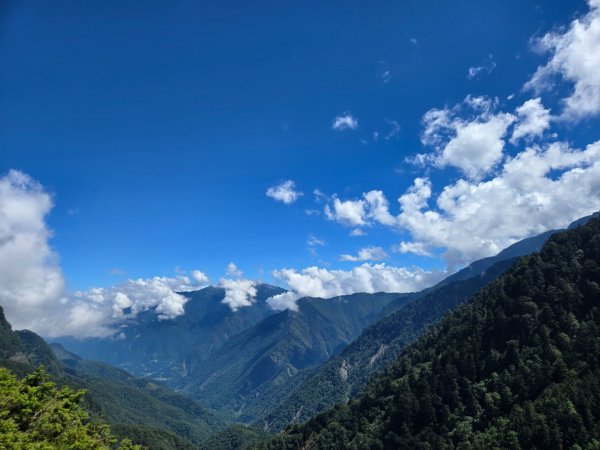 塔塔加步道（大鐵杉登山步道）2883103