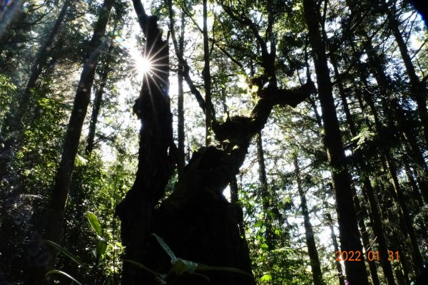 臺中 和平 稍來山1597388