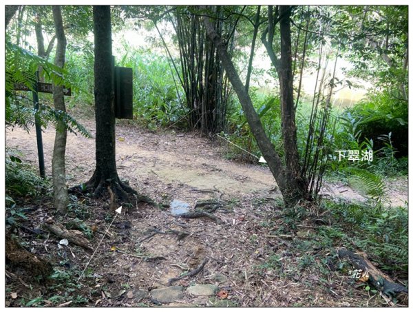 金龍湖、鷹石尖、老鷲尖、內溝山 O型一圈2966658