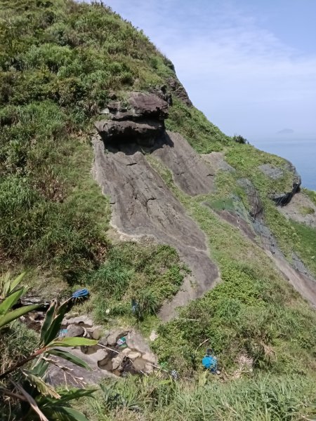 瑞芳區海園古道+鼻頭山稜+門牙岩O型2768349