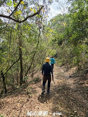 【屏東瑪家】小百岳笠頂山步道3013103