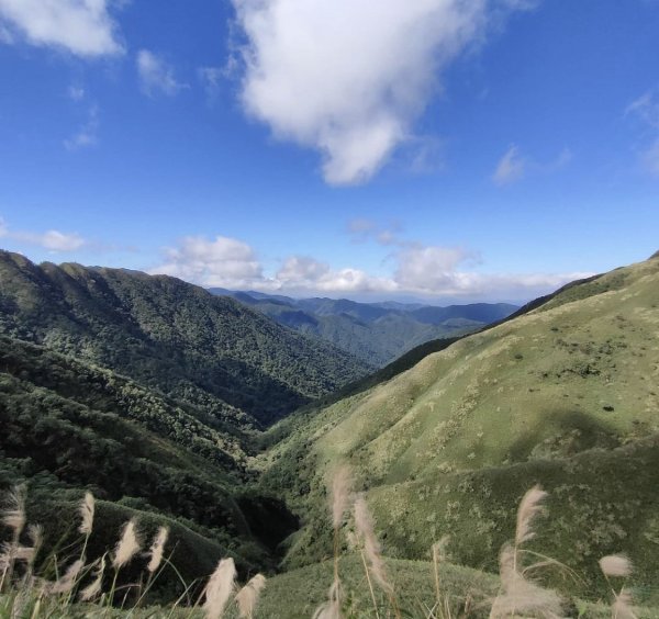 被抹茶山風景療愈-聖母山莊