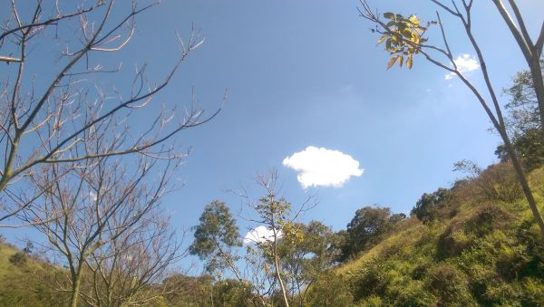 竹坑南寮登山步道283808